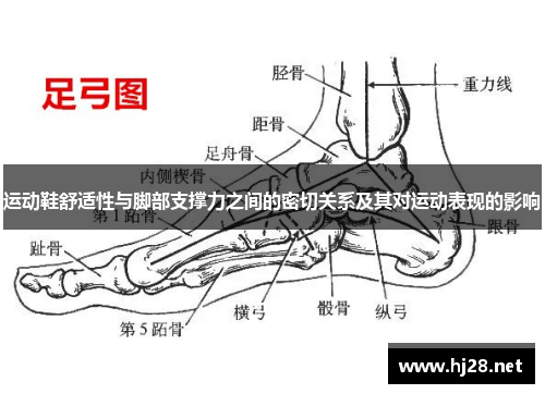 运动鞋舒适性与脚部支撑力之间的密切关系及其对运动表现的影响